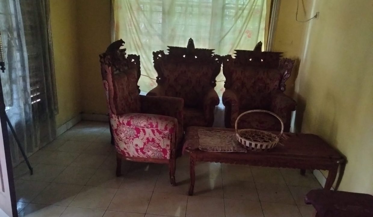 WhatsApp Image 2023-09-06 at 11.45.09s