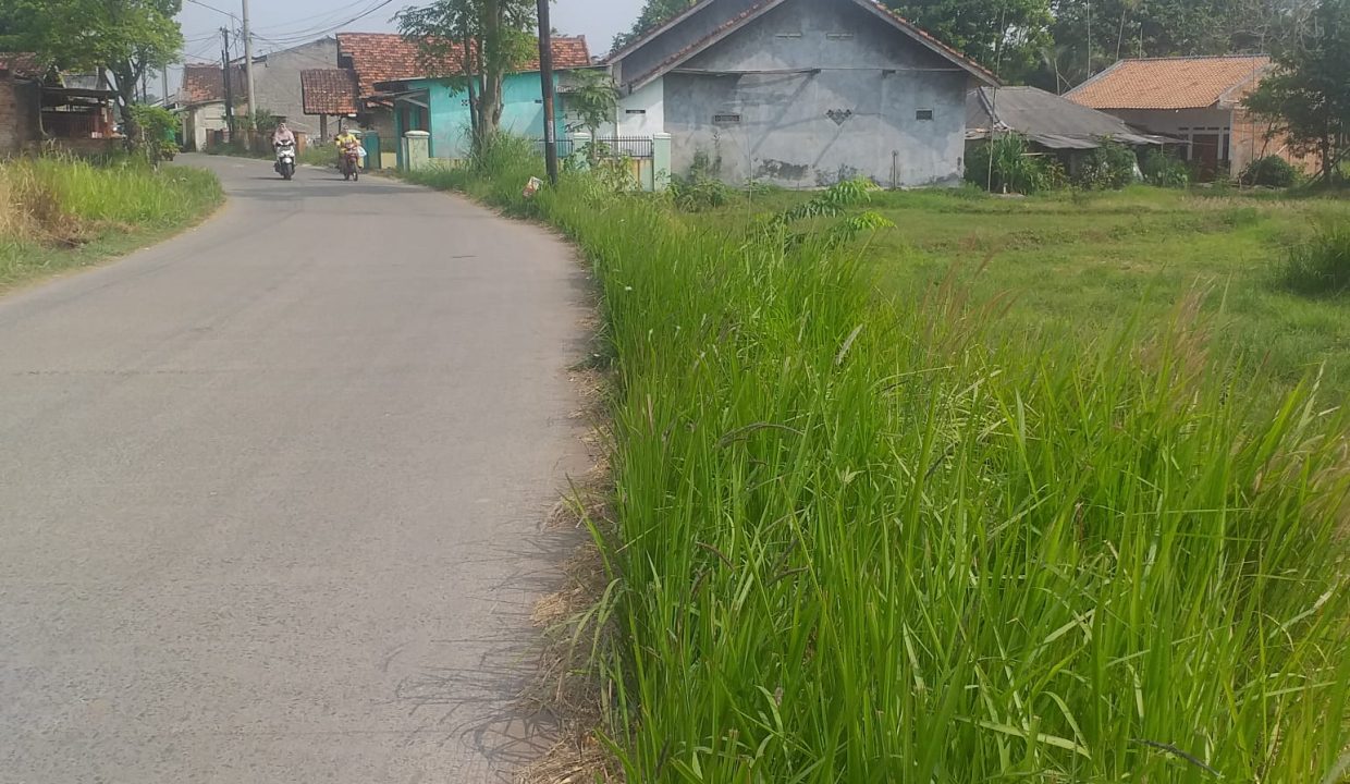 WhatsApp Image 2023-08-18 at 11.32.26