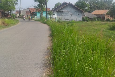 WhatsApp Image 2023-08-18 at 11.32.26