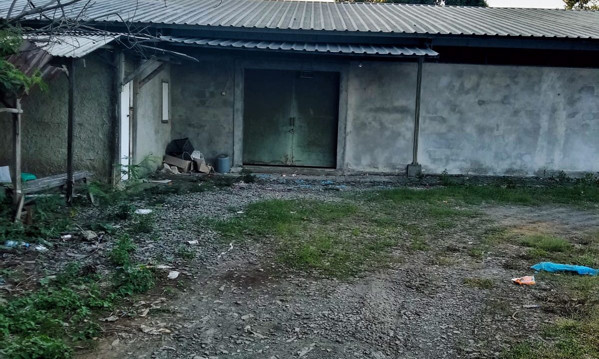 IMG-20250426-WA0013