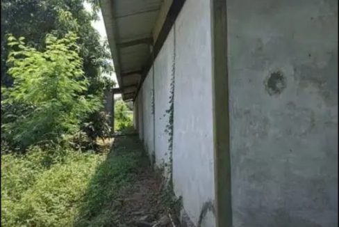 IMG-20250426-WA0014