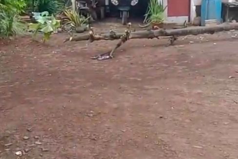 WhatsApp Image 2025-10-25 at 10.19.57_a6c896e6