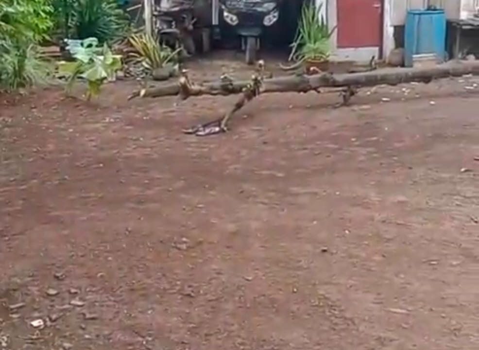 WhatsApp Image 2025-10-25 at 10.19.57_a6c896e6