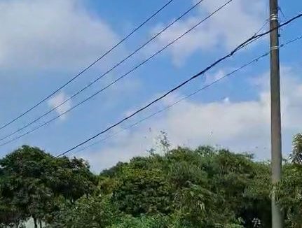 Capture 2